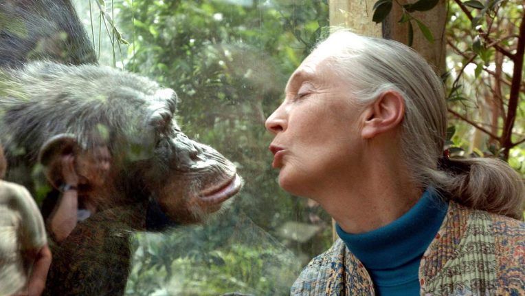 Doctor Jane Goodall