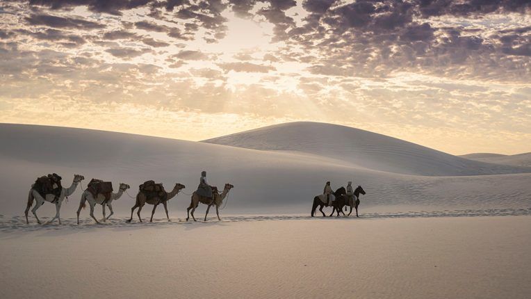 Camels in Around The World In 80 Days
