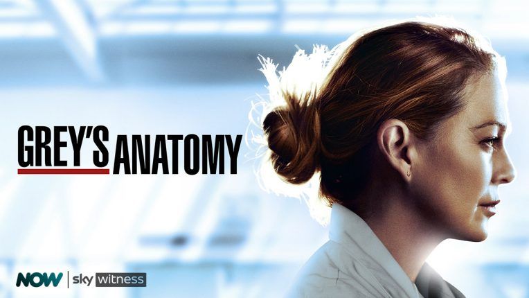 Grey's Anatomy season 17 key art poster