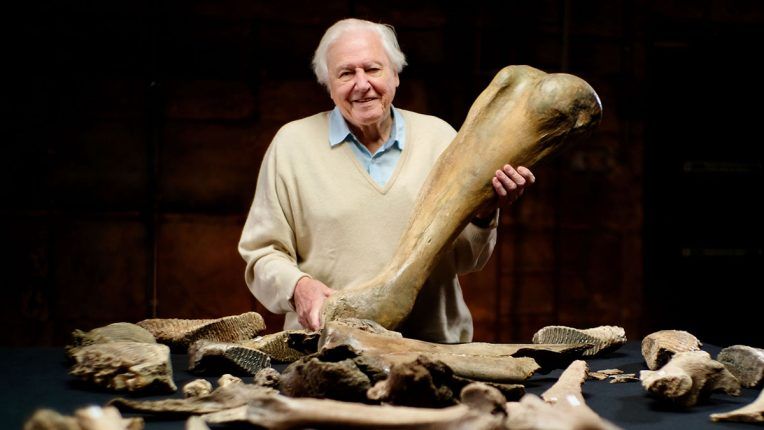 Attenborough and the Mammoth Graveyard